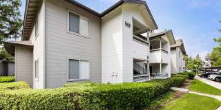 The Ashton Gallery 1