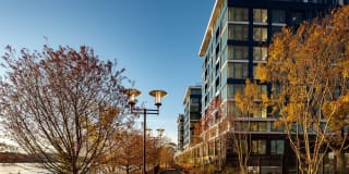 Watermark Buzzard Point Gallery 10