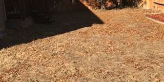 Lovely 2 Story with Finished Basement Gallery 22