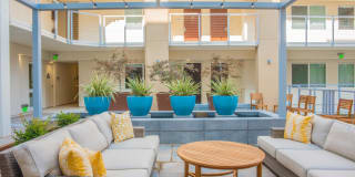 The Arroyo Gallery 50