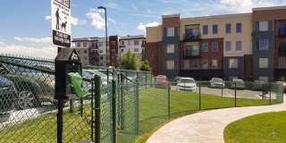 Hills at Sandy Station Gallery 18