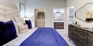 Cortland on Orange Gallery 10