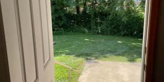 Spacious 3 bed/2 bath - walk to campus! Gallery 30