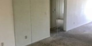 7928 East Colette Circle Gallery 14