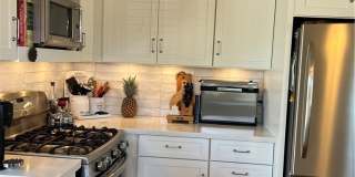 1262 Catalina Gallery 20