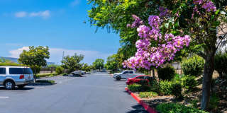 Rancho Monte Vista Luxury Apartment Homes Gallery 67