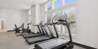 The Ridge Gallery 17