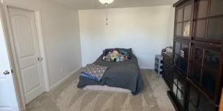 5337 Goshawk Drive Gallery 7