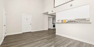 Chatsworth Plaza Gallery 5