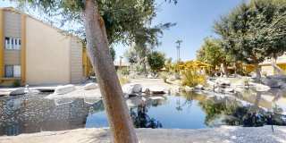 48255 Monroe Street unit: 2 Gallery 31