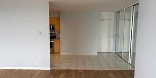 1000 N Lake Shore Drive Gallery 3