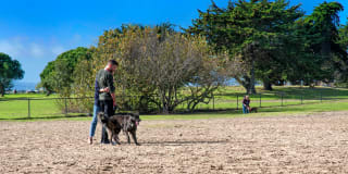 Aero Apartments Gallery 43