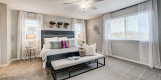 BB Living Light Farms Gallery 19