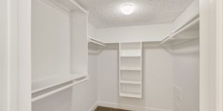 HUGE 2 bed 2 bath in Prime Santa Monica! Gallery 29