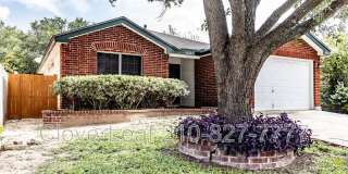 10343 Lion Chase Gallery 3