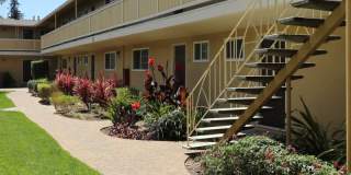 Mountain View Apartments Gallery 6