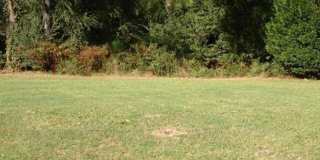 260-B Handley Court Gallery 7