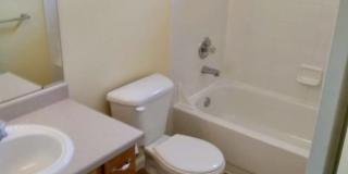 5271 E 119th Ct Gallery 15