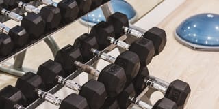 Alister Falls Church Gallery 28