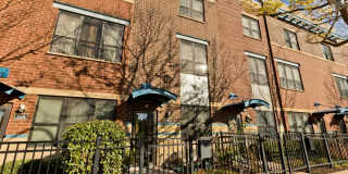 434 Elm Gallery 10