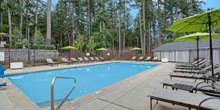 The Marq on Martin Apartments Gallery 12