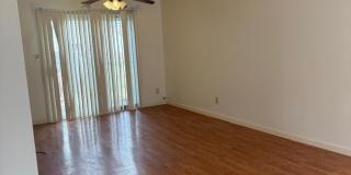 16 Spring Lane Gallery 3