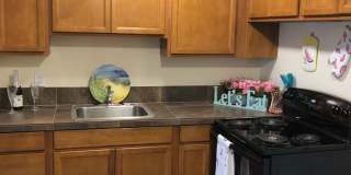 Madrona Place Gallery 4