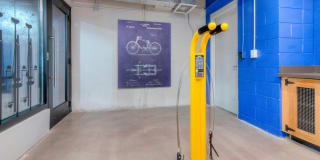 AVA Wheaton Gallery 23