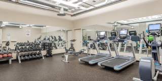 The Stadium Apartments Gallery 6