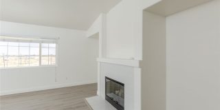 38938 Malva Rosa Drive Gallery 12