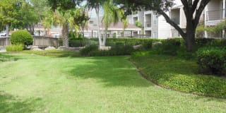 Walden Pond Gallery 14