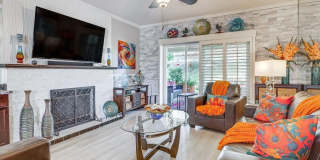 474 Evergreen Ash Gallery 4