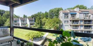 3 SPA CREEK Landing Gallery 24