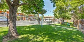Edelweiss Apartments Gallery 5