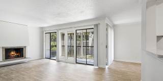 The Avenues Gallery 17
