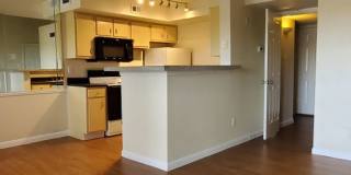 The Hamilton Apartments Gallery 16