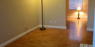 9014 Stacie Lane Gallery 11
