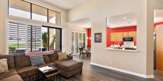 54838 Oak Tree Gallery 15
