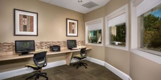 Evergreens at Laurel Gallery 8