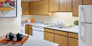 Claremont Gallery 19