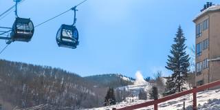 360 Wood Road unit: 113 Gallery 28