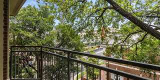 WALK TO UT/DRAG!!! Gallery 19