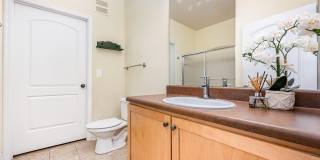 6470 Borasco Drive Gallery 13