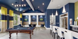 Lowry Park Gallery 19