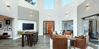 Bell Almaden Gallery 17