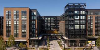 Rye House Gallery 42