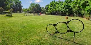 The Magnolia Apartments Gallery 25