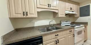 North St. Pete 2/2 condo Gallery 13