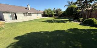 Home with a Huge backyard! COMING SOON!!! Gallery 15