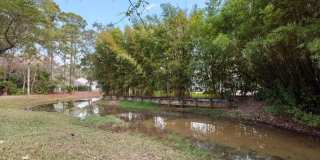 12326 ARBOR Drive Gallery 53